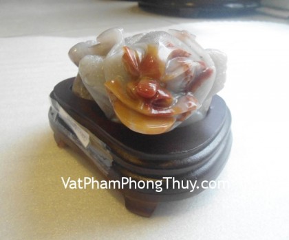 coc-hoang-long-tt-hl-4685-2