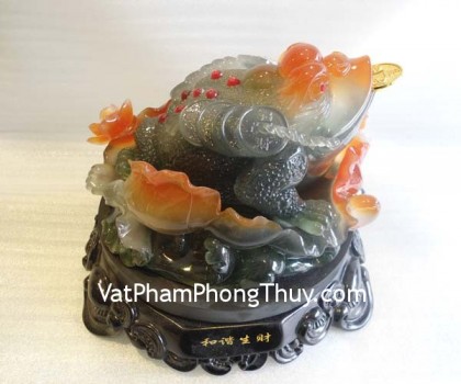 coc-xoay-mau-don-e051