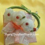 day-rut-mau-don-s479-01