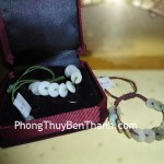 day-rut-tien-s161-01