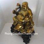 di-lac-ma-dong-b087-01