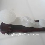 gay-nhu-y-bach-ngoc-lon-dt221-01