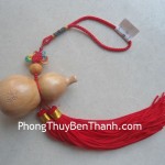 ho-lo-go-treo-s551-02