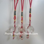 ho-lo-pha-le-vat-canh-s227-01