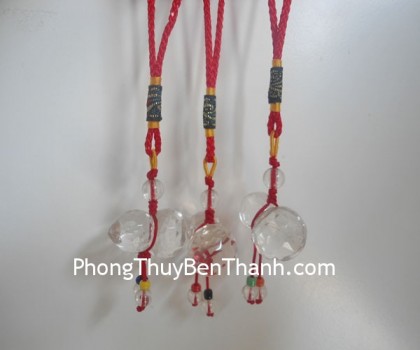 ho-lo-pha-le-vat-canh-s227-01