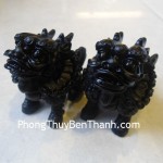 ky-lan-hac-nga-dt215