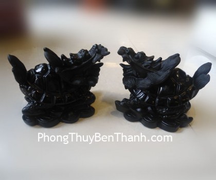 long-quy-hac-nga-dt209