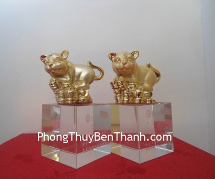 meo-chieu-tai-F91-02