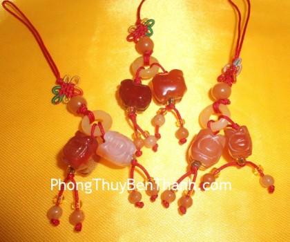 moc-dt-2-heo-ma-nao-do-S313-01