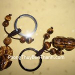 moc-khoa-ty-huu-mat-meo-lon-01