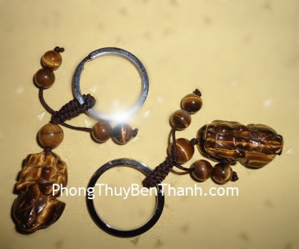 moc-khoa-ty-huu-mat-meo-lon-01