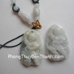 na-tra-mien-dien-s589-01