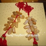 ngoc-boi-12-ty-huu-01