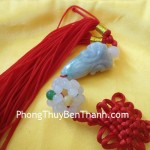 ngoc-boi-bap-cai-s269-01