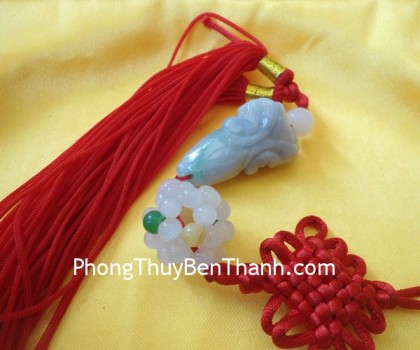 ngoc-boi-bap-cai-s269-01