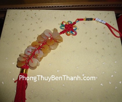 ngoc-boi-tien-hoang-long