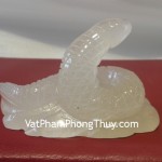 ran-thanh-ngoc-m113-1