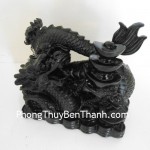 rong-nha-nen-vang-dt213-02