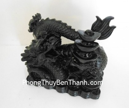 rong-nha-nen-vang-dt213-02