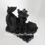 rong-om-bap-cai-dt210-02