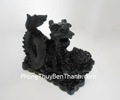 rong-om-bap-cai-dt210-02