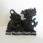 rong-om-ho-ho-lo-dt214