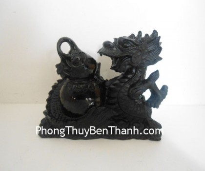 rong-om-ho-ho-lo-dt214