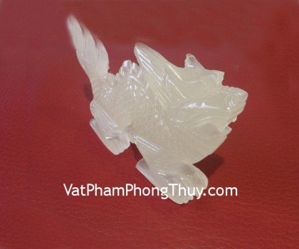 rong-thanh-ngoc-m113-1