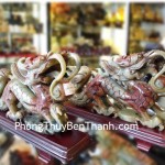 rong-tieu-ngoc-nha-chau-02