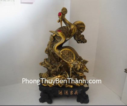 song-hac-ma-dong-f186