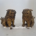 su-tu-dong-ngoi-d021-01