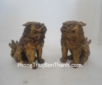 su-tu-dong-ngoi-d021-01