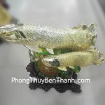 tam-ngu-tu-tai-b026-02