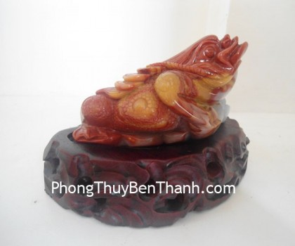 thiem-thu-hoang-long-tam-the-5888