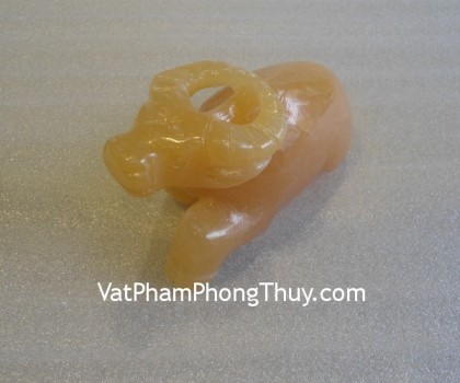 trau-hoang-long-m116