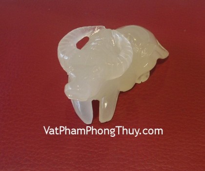 trau-thanh-ngoc-m113