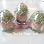 trung-ngu-hanh-nho-dt164-01