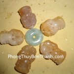 ty-huu-cap-tren-chuong