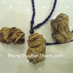 ty-huu-da-mat-meo-02