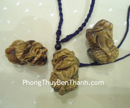 ty-huu-da-mat-meo-02