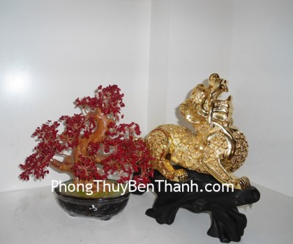 ty-huu-dat-vang-B13-01