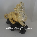 ty-huu-dat-vang-nho-f023-01