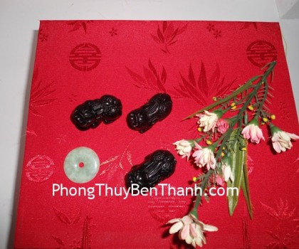 ty-huu-den-vay-rong-s409