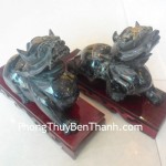 ty-huu-doc-ngoc-nho-05