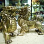 ty-huu-dong-dung-D001-02