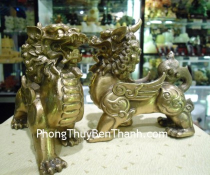 ty-huu-dong-dung-D001-02