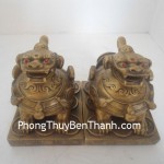 ty-huu-dong-ngoi-d001