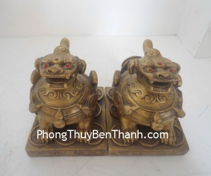 ty-huu-dong-ngoi-d001