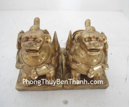 ty-huu-dong-ngoi-k088-01