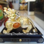 ty-huu-dung-tron-c005